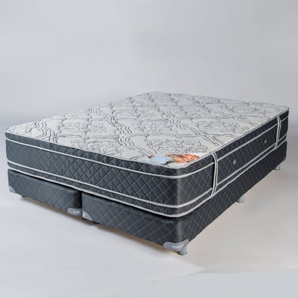 🛏️ Conjunto de Colchón y Sommier Deseo Coral – Espuma de Alta Densidad con Doble Euro Pillow
